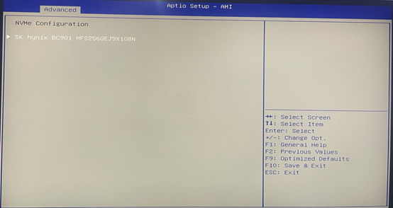 As shown in the figure below, the NVME SSD has been recognised normally.