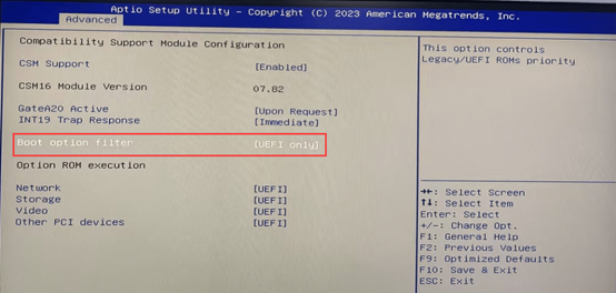 Boot Option filter configuration [UEFI only];